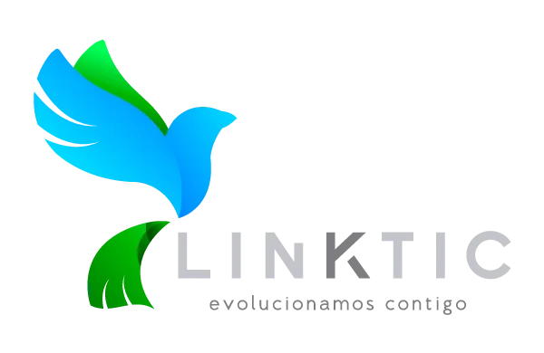 Company logo: LinkTic